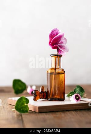 Piccolo fiore rosa di ciclamino in una piccola bottiglia marrone di vetro da farmacia su un tavolo di legno. Interni per l'arredamento della casa, il design degli interni, regalo di primavera. Foto Stock