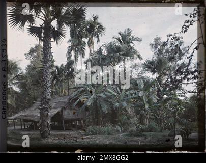 Cambogia, Indochina Una casa su palafitte, circondata da palme da zucchero e banani , Léon occupato in Indochina Foto Stock