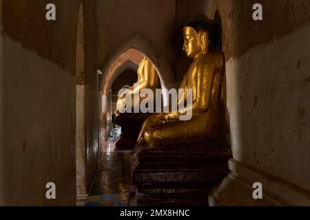 Vista di profilo di una grande statua dorata del Buddha seduta in un antico tempio a Bagan, Myanmar (Birmania). Foto Stock
