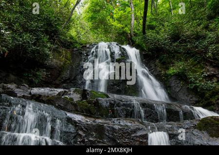 Laurel Falls lungo il sentiero Laurel Falls nel Great Smoky Mountains National Park, Tennessee. Foto Stock