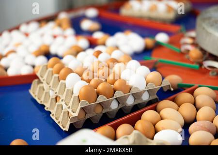 Uova in un negozio di cernita modernizzato Foto Stock