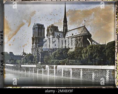 Parigi (4th arr.), Francia cevetto della cattedrale di Notre-Dame de Paris , Foto Stock