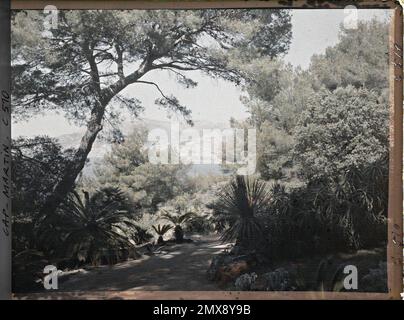 Villa Miramar, proprietà di Albert Kahn, Cap Martin, Francia , 1922 - Cap Martin - Auguste Léon - (luglio) Foto Stock