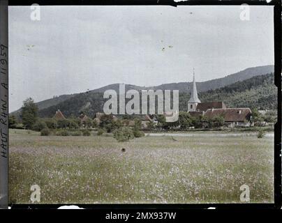 SIZE, today-rhin, asselance, FRACE , 1917 - Alsazia - Paul Castelnau (sezione fotografica degli eserciti) - (giugno) Foto Stock