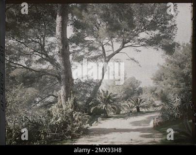 Villa Miramar, Proprietà di Albert Kahn, Cap Martin, Francia , 1921 Cap Martin, Italia, Cap Martin - Auguste Léon (febbraio-aprile) Foto Stock