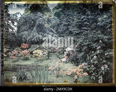 Proprietà di Albert Kahn, Boulogne, Francia di fiore 'stagno' fiore in parte a nord-est del Marais, visto a nord, Foto Stock