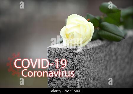 Cerimonia funebre dedicata alle vittime del coronavirus. Rosa bianca su pietra tombale all'aperto Foto Stock