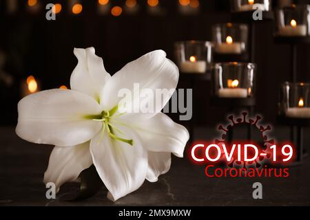 Cerimonia funebre dedicata alle vittime del coronavirus. Giglio bianco e candele brucianti Foto Stock