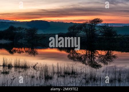 Il fiume Cuckmere, Cuckmere Haven in una serata invernale, Sussex orientale, Inghilterra Foto Stock