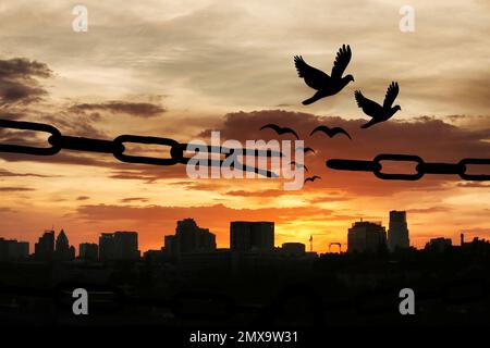 Concetto di libertà. Silhouette di catena spezzata e uccelli che volano all'aperto al tramonto Foto Stock