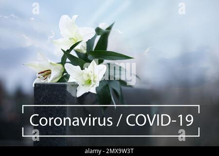 Cerimonia funebre dedicata alle vittime del coronavirus. Gigli bianchi su lapide all'aperto Foto Stock