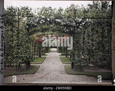 Proprietà di Albert Kahn, Boulogne, asse centrale francese di Verger-Roseraie visto in direzione di dipendenza, al confine con il giardino francese, Foto Stock