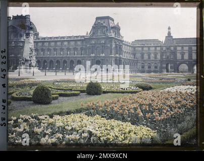 Parigi (1st arr.), Francia Tulipani nel Giardino delle Tuileries , Foto Stock