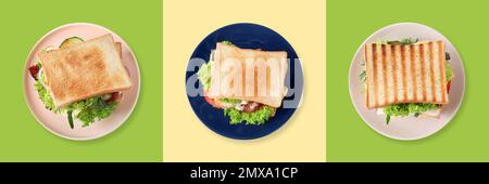 Set di diversi sandwich yummy su sfondo a colori, vista dall'alto. Design del banner Foto Stock