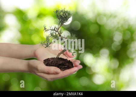 Donna che tiene un piccolo albero nel terreno su sfondo verde sfocato, primo piano. Protezione ecologica Foto Stock