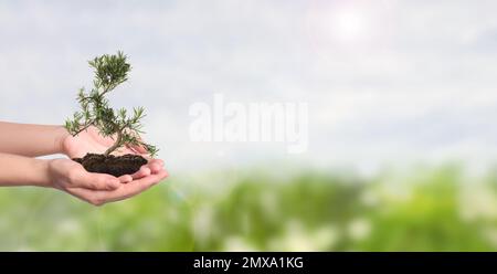 Donna che tiene un piccolo albero in terra il giorno di sole, banner design con spazio per il testo. Protezione ecologica Foto Stock
