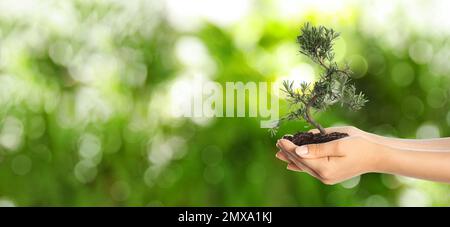 Donna che tiene un piccolo albero nel terreno su sfondo verde sfocato, banner design con spazio per il testo. Protezione ecologica Foto Stock