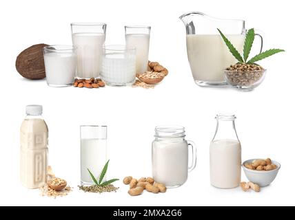 Impostare con diversi tipi di latte biologico su sfondo bianco. Bevande naturali Foto Stock