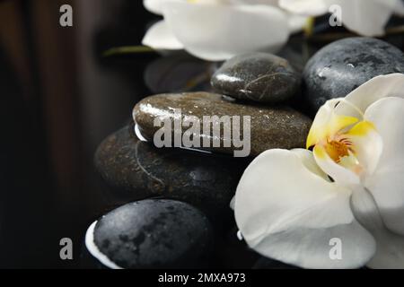 Pietre e fiori d'orchidea in acqua su sfondo nero, primo piano. Stile di vita zen Foto Stock