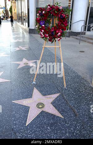 Los Angeles, California, USA 1st Febbraio 2023 Una visione generale dell'atmosfera dei Fiori su attress Cindy Williams Hollywood Walk of Fame Star il 1 Febbraio 2023 a Los Angeles, California, USA. Foto di Barry King/Alamy Live News Foto Stock