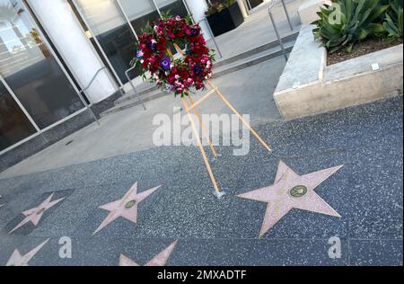 Los Angeles, California, USA 1st Febbraio 2023 Una visione generale dell'atmosfera dei fiori su attress Cindy Williams Hollywood Walk of Fame Star accanto a Laverne & Shirley Costar attress Penny Marshall's Star il 1 Febbraio 2023 a Los Angeles, California, USA. Foto di Barry King/Alamy Live News Foto Stock