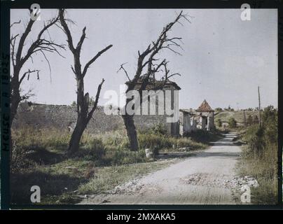 Axis, France , 1919 - Mosa - Georges Chevalier e Fernand Cuville - (settembre 10-12) Foto Stock