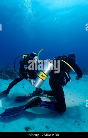 Sub aiuta altri subacquei, sciolto scuba, nitrox, Port Safaga, Mar Rosso, Egitto Foto Stock