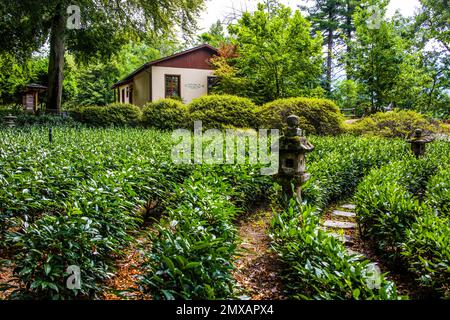 Tea House, luogo d'incontro di riformatori, pacifisti, artisti, scrittori all'inizio del '20th Monte Verita ad Ascona, Ticino Foto Stock