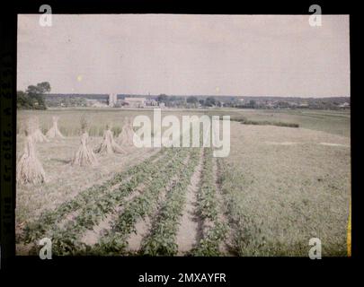 Poissy, France , 1930 - Ile-de-France - Stéphane Passet - (giugno 28 - luglio 8) Foto Stock