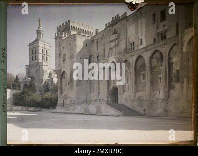 Avignone, Francia Cattedrale di Notre-Dame des Doms e Palazzo del Papa , 1916 - Province francesi - Jean Brunhes, Auguste Léon e Georges Chevalier - (aprile-luglio) Foto Stock