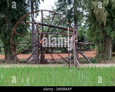 Vecchio sistema di irrigazione in un campo di riso Foto Stock