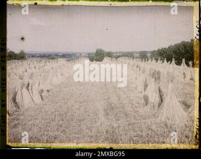 Poissy, France , 1930 - Ile-de-France - Stéphane Passet - (giugno 28 - luglio 8) Foto Stock