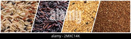 Raccolta di grani e cereali diversi come sfondo. Design del banner Foto Stock