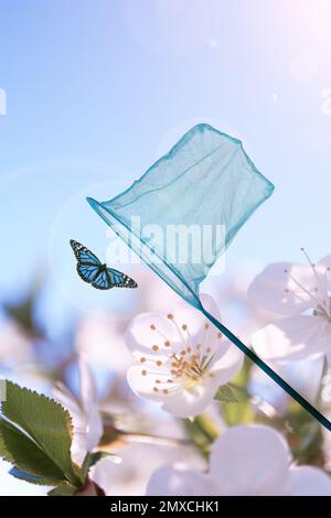 Rete luminosa e bella farfalla contro fiori fioriti all'aperto nelle giornate di sole Foto Stock