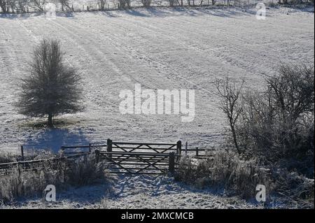 Campi con sole invernale che mostrano i resti di un vecchio modello di campo di crinale e solco nel villaggio nord dell'Oxfordshire di Hook Norton Foto Stock