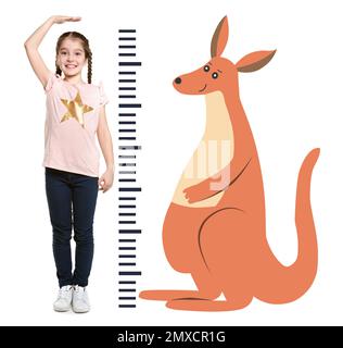 Bambina che misura altezza e disegno di canguro su sfondo bianco Foto Stock