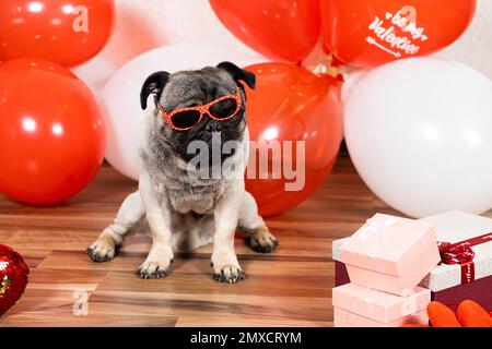 Un divertente fresco boccale con bicchieri celebra San Valentino tra palline rosse e bianche con un mazzo di regali. Animali domestici e festivi. Foto Stock