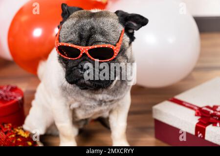 Un divertente fresco boccale con bicchieri celebra San Valentino tra palline rosse e bianche con un mazzo di regali. Animali domestici e festivi. Foto Stock