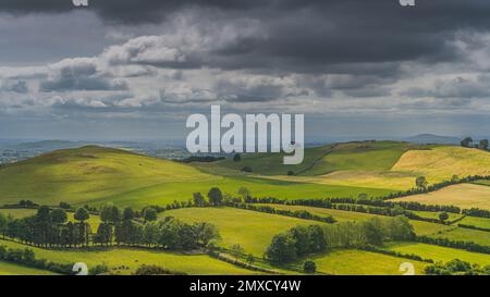 Vista panoramica, aerea su bestiame e pecore pascolando su verdi colline e pascoli. Antica Loughcrew Cairns nella contea di Meath, Irlanda Foto Stock