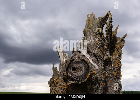 Primo piano di un albero spesso spezzato sullo sfondo del cielo con le nuvole. L'albero era già deputrito ed era coperto di lichene. Foto Stock