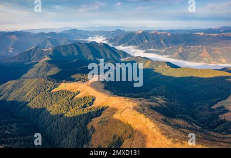 Fotografia aerea di paesaggi. Splendida vista estiva dal drone volante della catena montuosa di Sheshul. Colorata vista mattutina dal drone volante di Carpazi Foto Stock