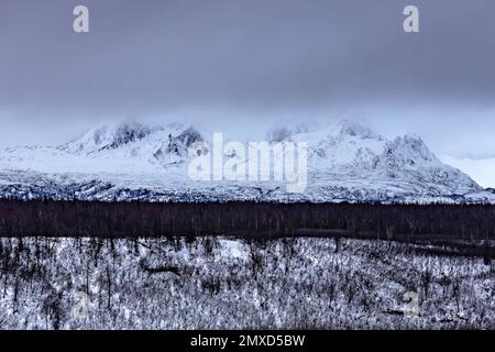 Un paesaggio di montagne ghiacciate Denali in Denali Park alberi innevati nebbia in Alaska Foto Stock