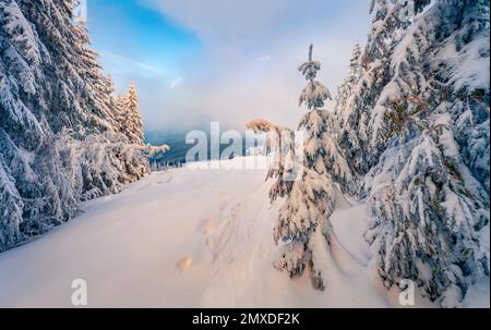 Fotografia di paesaggi. Splendida vista mattutina sulla foresta di montagna. Emozionante paesaggio invernale delle montagne dei Carpazi. Meravigliosa alba in montagna Foto Stock