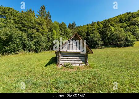 Parco Nazionale del Triglav, vecchio fienile in legno tradizionale su un prato verde con una foresta sullo sfondo, Alpi Giulie, Gorenjska, Slovenia, Europa centrale. Foto Stock