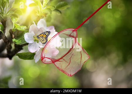 Rete luminosa e bella farfalla su albero di ciliegio fiorito all'aperto Foto Stock