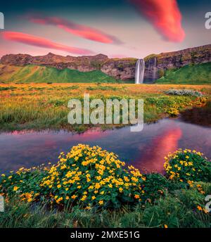 Meraviglioso scenario estivo. Spettacolare alba su Seljalandsfoss - dove i turisti possono camminare dietro le acque in caduta. Incredibile scena mattutina dell'Islanda, UE Foto Stock