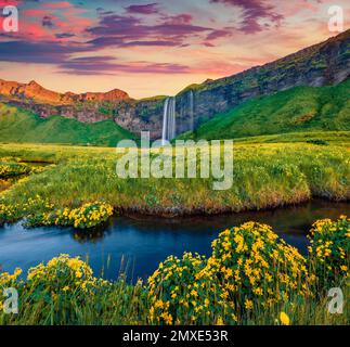 Bellissimo paesaggio nordico. Alba colorata su Seljalandsfoss - dove i turisti possono camminare dietro le acque in caduta. Splendida scena mattutina di Islanda, E. Foto Stock