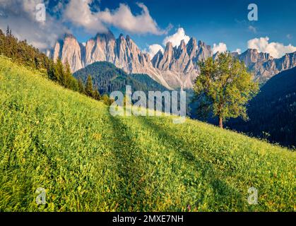 Splendido paesaggio alpino. Colorata vista estiva del villaggio di Santa Magdalena. Pittoresca scena mattutina della valle di Funes. Paesaggio pittoresco dell'Italia, dell'UE Foto Stock