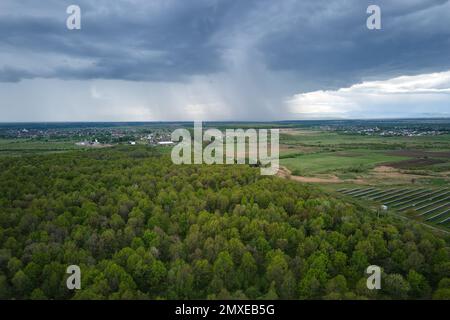 Vista aerea di verde scuro lussureggiante foresta con fitti alberi tettoie in estate Foto Stock