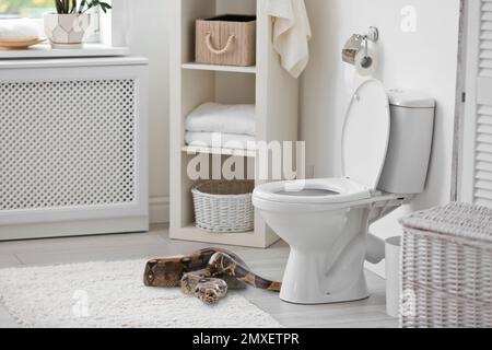 Costrittore marrone vicino al water in bagno Foto Stock